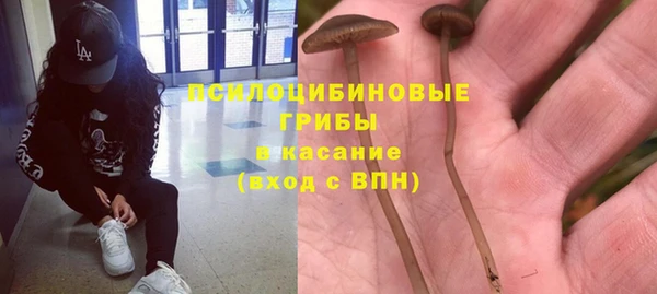 дмт Кодинск
