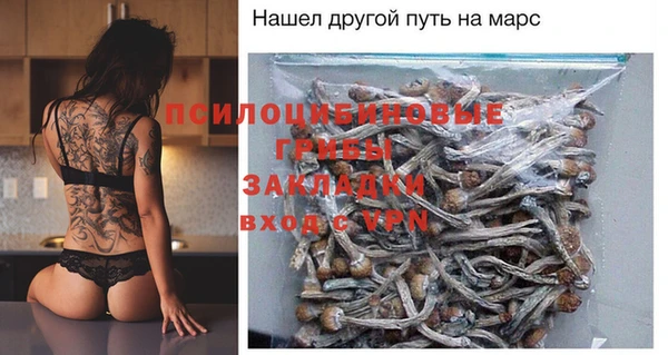 дмт Кодинск