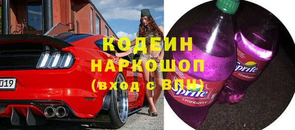 дмт Кодинск
