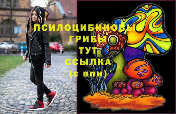 дмт Кодинск