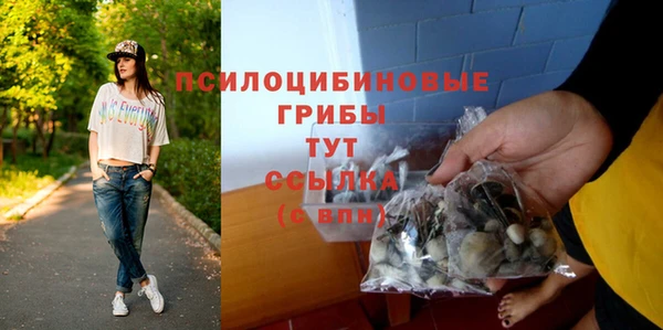 трава Козельск