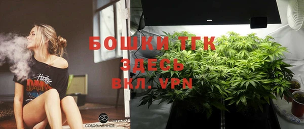 трава Козельск